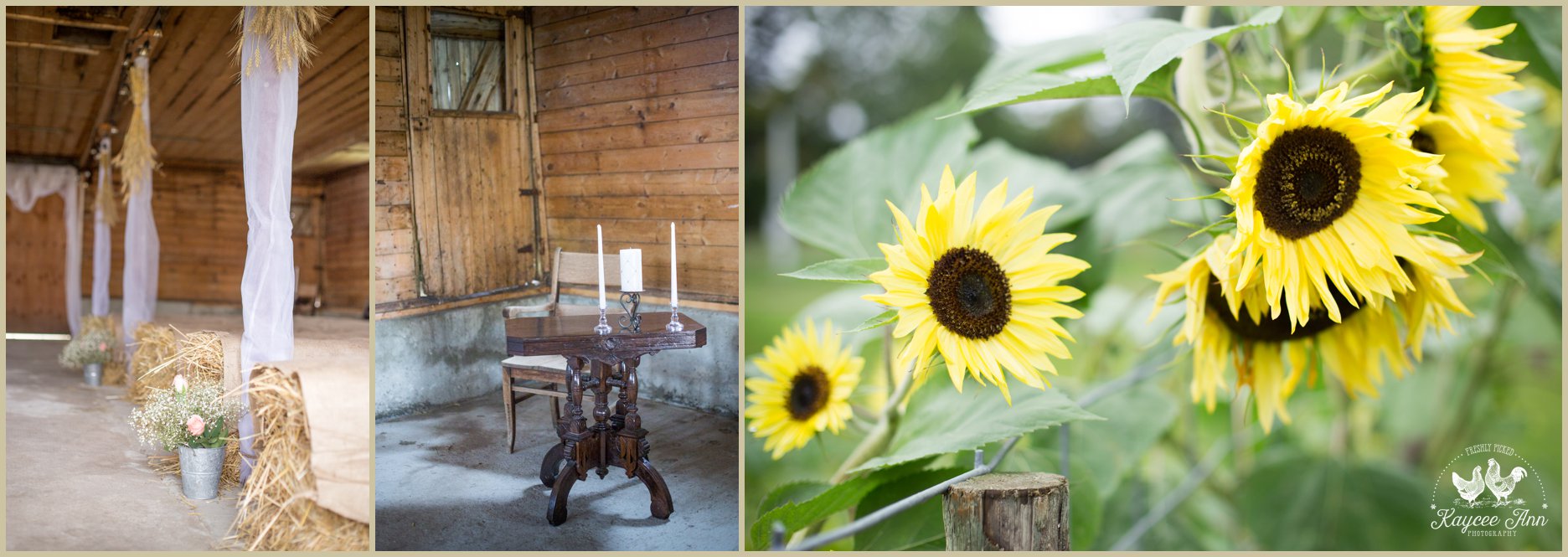sunflower, wedding agreement, candle, bible, garden, outdoor barn wedding, alberta wedding photographer