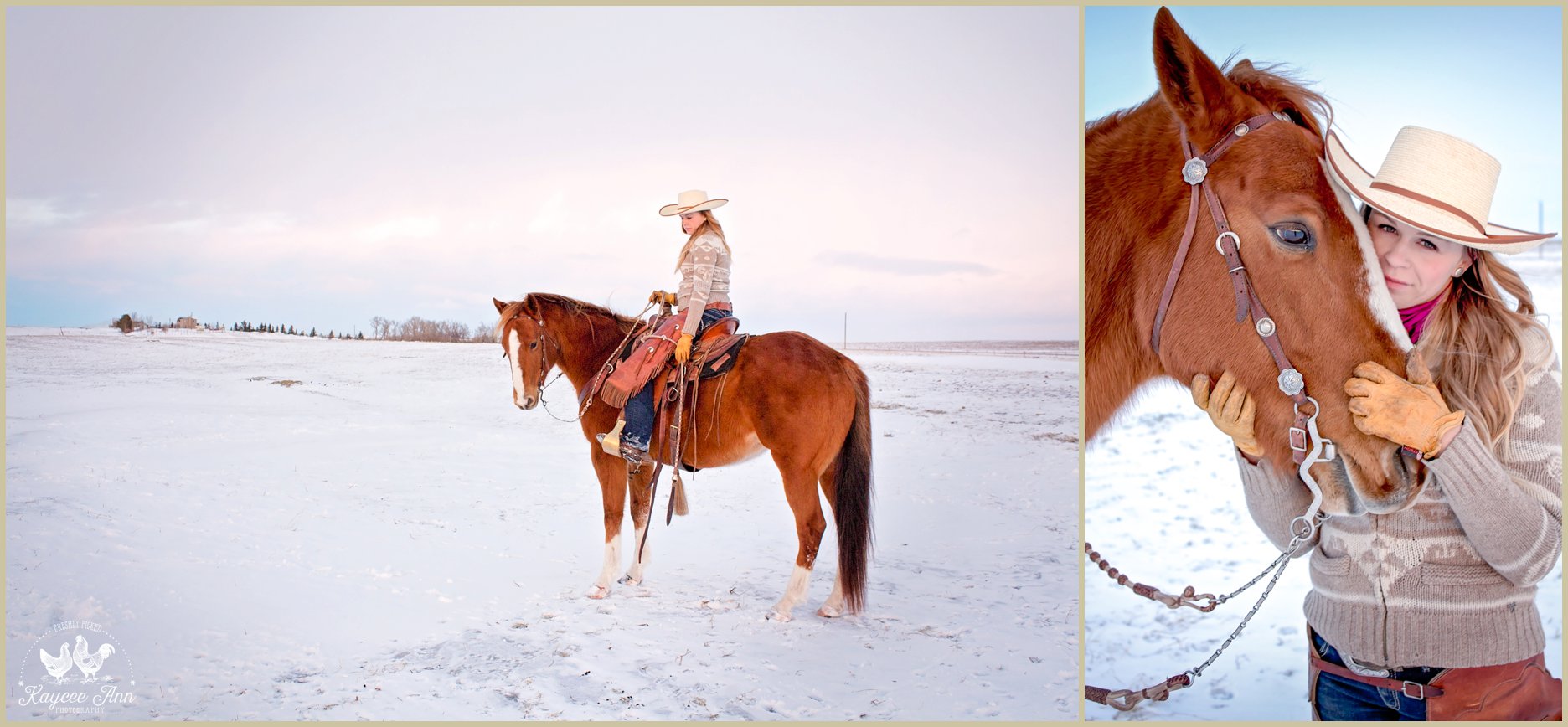 Equine Photography Session in Airdrie Alberta