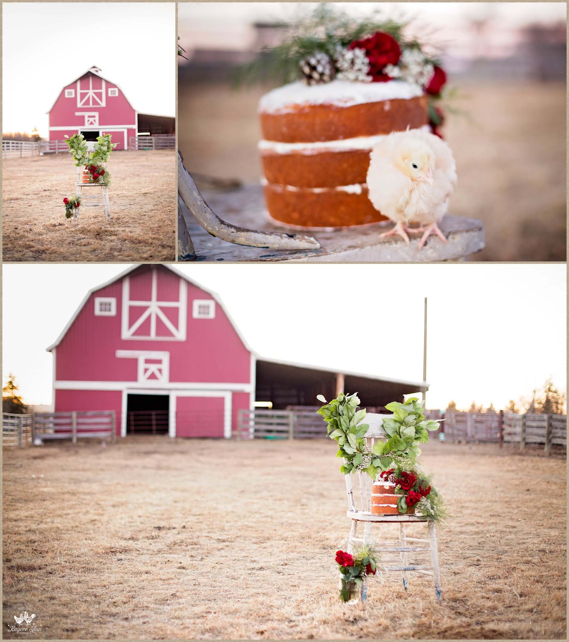 naked rustic cake airdrie