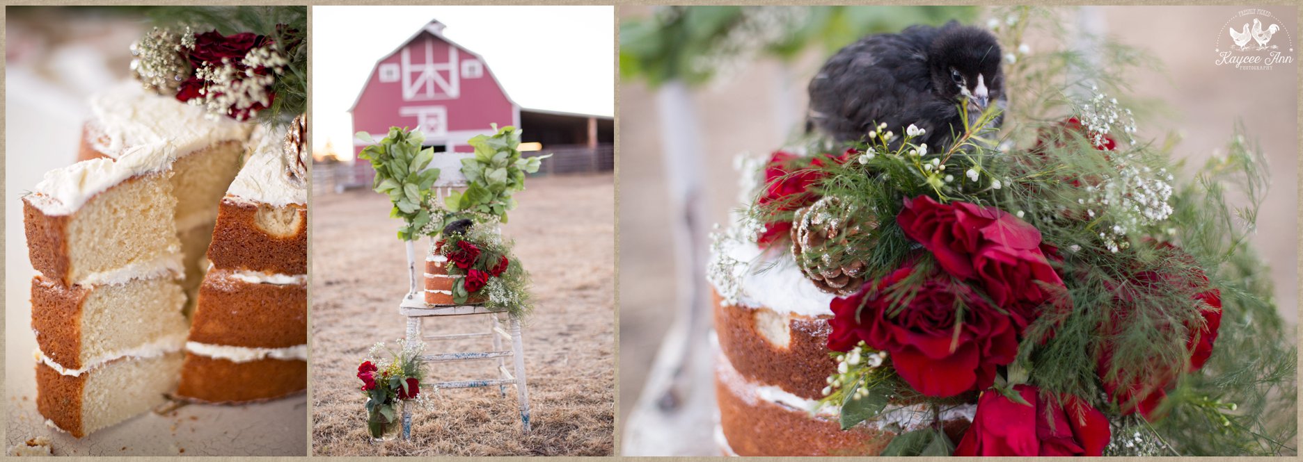 naked rustic cake airdrie